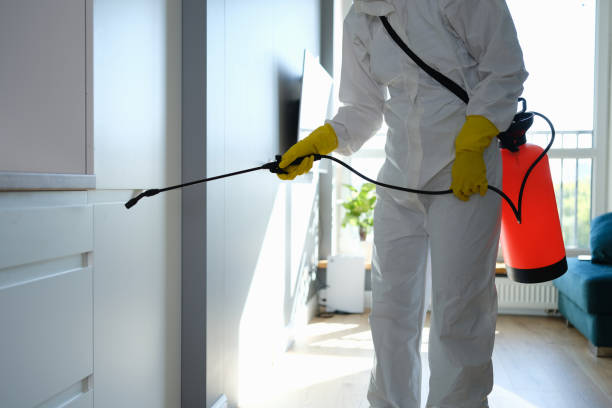 Mold Testing and Removal in Minooka, IL