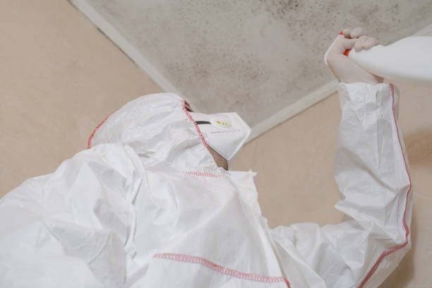 Best Mold Remediation  in Minooka, IL