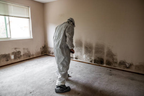 Best Crawl Space Mold Removal  in Minooka, IL